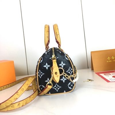 Louis Vuitton Bag — 5