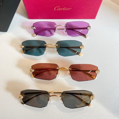 Cartier Sunglasses — 9