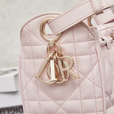 Dior Bag — 6