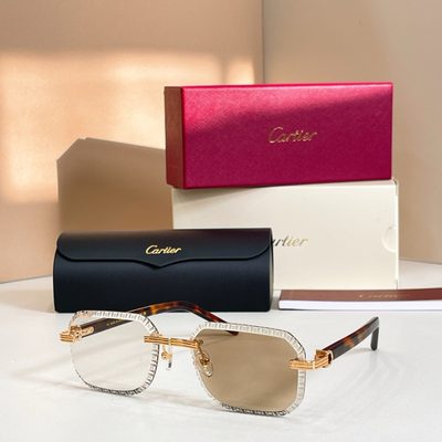 Cartier Sunglasses — 6