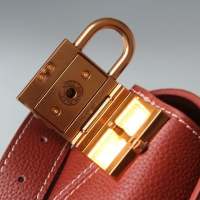 Louis Vuitton Bag — 9