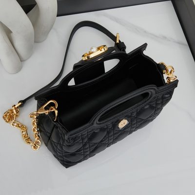 Dior Bag — 9