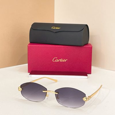 Cartier Sunglasses — 3