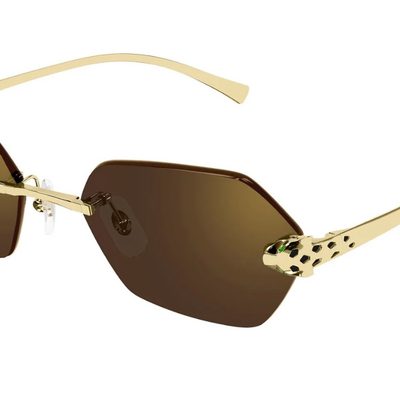 Cartier Sunglasses — 6