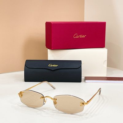 Cartier Sunglasses — 3