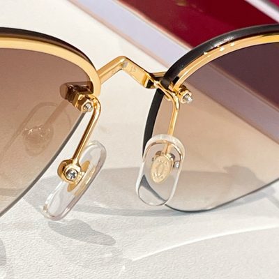 Cartier Sunglasses — 7