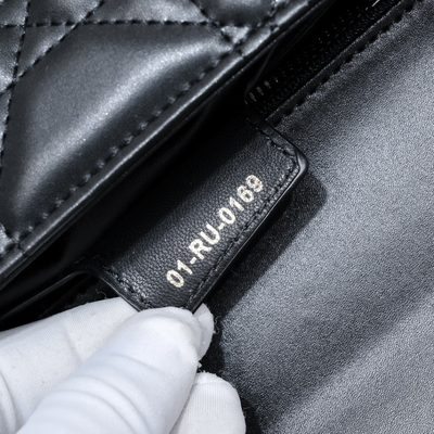 Dior Bag — 9