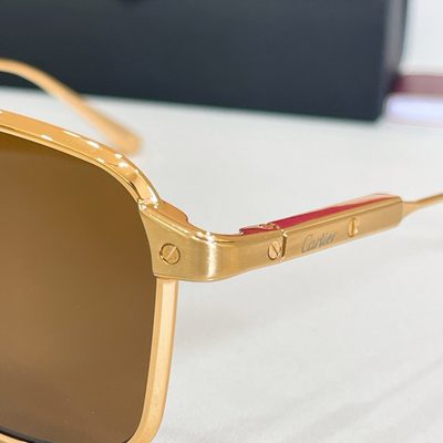 Cartier Sunglasses — 7