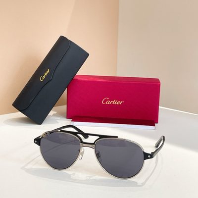 Cartier Sunglasses — 3