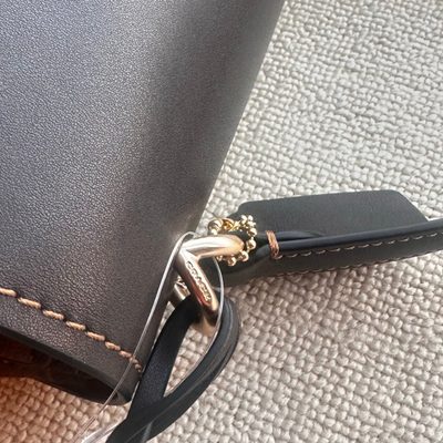 Coach Bag — 6