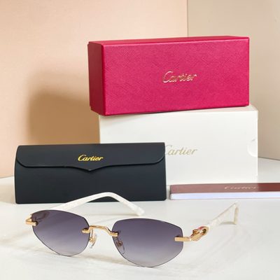 Cartier Sunglasses — 3