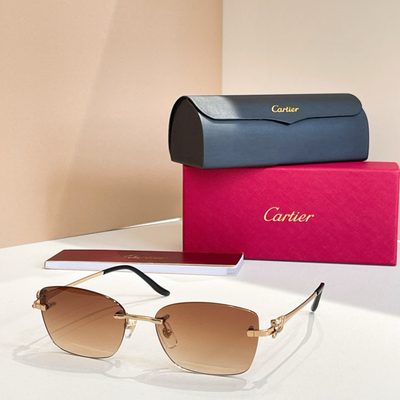 Cartier Sunglasses — 7
