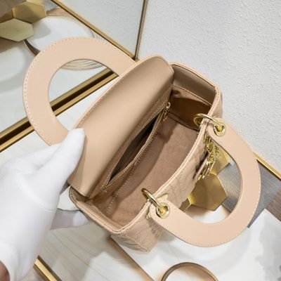 Dior Bag — 8