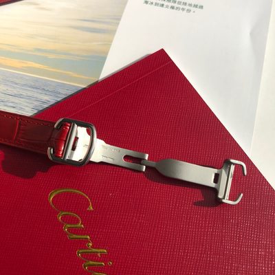Cartier Watch — 9