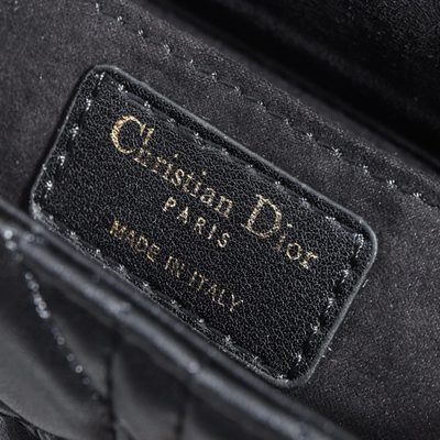 Dior Bag — 7
