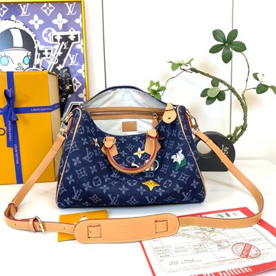 Louis Vuitton Bag — 6