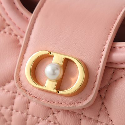 Dior Bag — 7