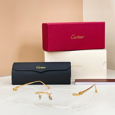 Cartier Sunglasses — 4