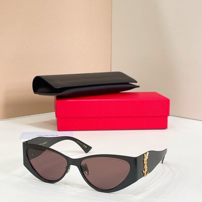 YSL Sunglasses — 6