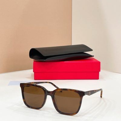 YSL Sunglasses — 5