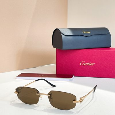 Cartier Sunglasses — 7