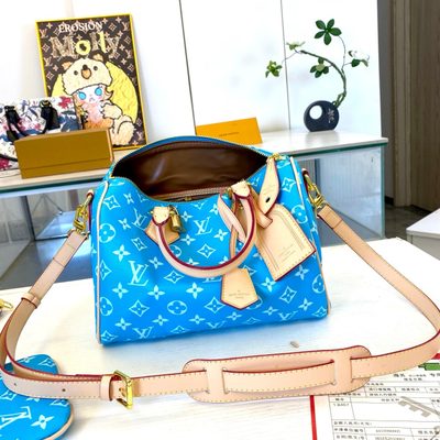 Louis Vuitton Bag — 7
