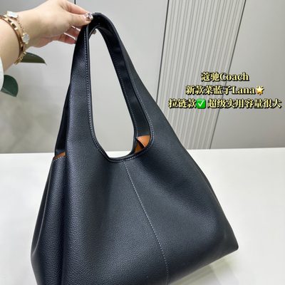 Coach Bag — 4