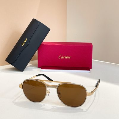 Cartier Sunglasses — 5