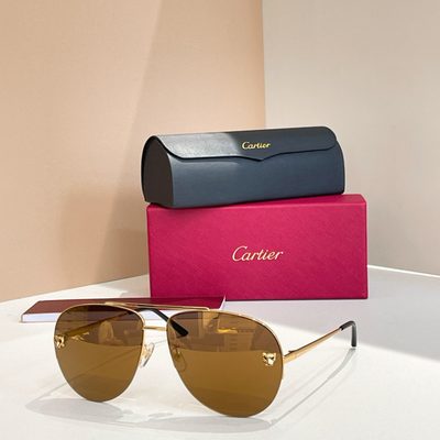 Cartier Sunglasses — 7