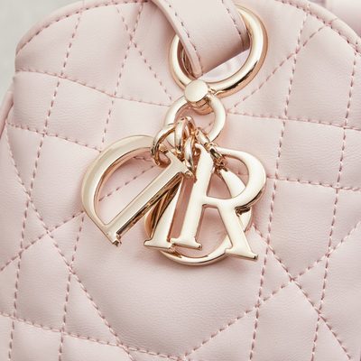 Dior Bag — 6