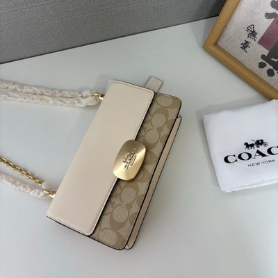 Coach Bag — 6