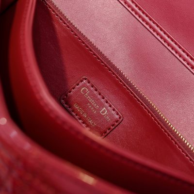 Dior Bag — 7