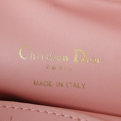 Dior Bag — 9