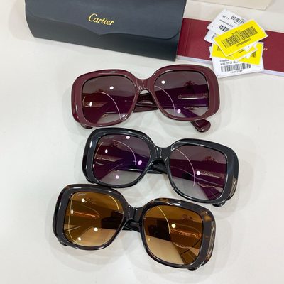 Cartier Sunglasses — 9