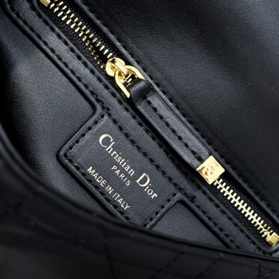 Dior Bag — 10