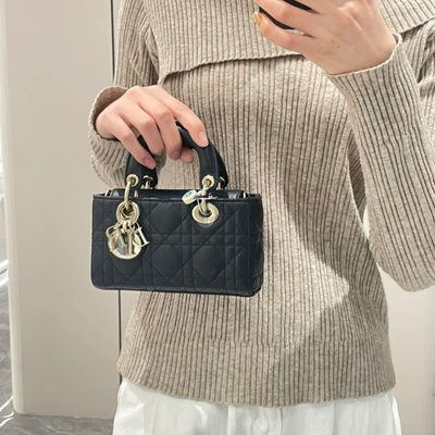 Dior Bag — 9
