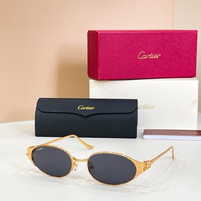 Cartier Sunglasses — 6