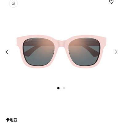 Cartier Sunglasses — 4