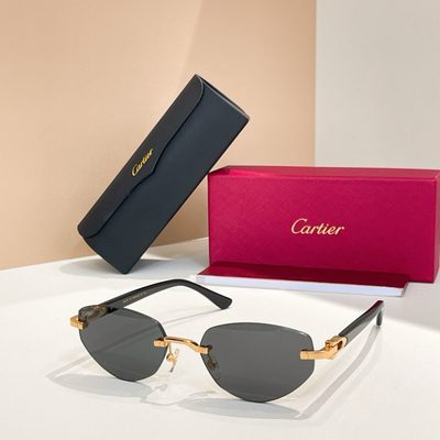 Cartier Sunglasses — 9