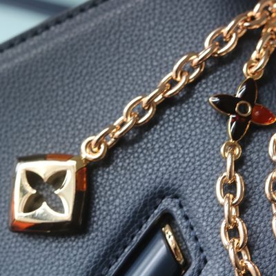 Louis Vuitton Bag — 4