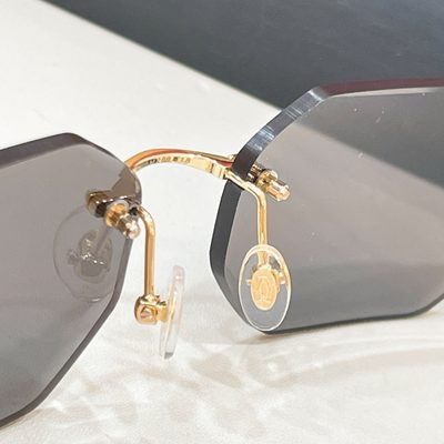 Cartier Sunglasses — 7