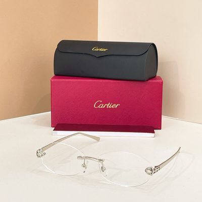 Cartier Sunglasses — 7