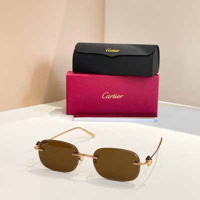 Cartier Sunglasses — 6