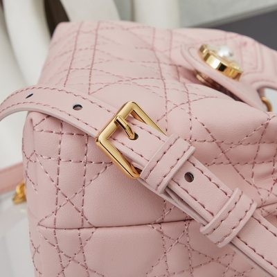 Dior Bag — 7