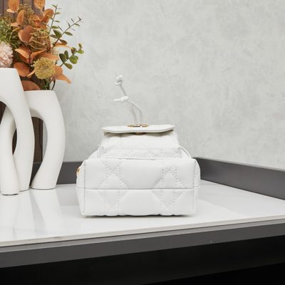 Dior Bag — 5