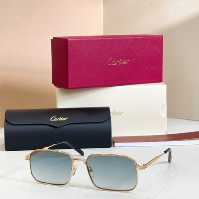 Cartier Sunglasses — 5
