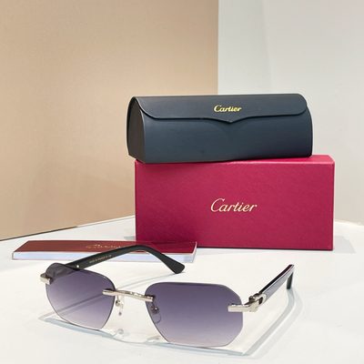 Cartier Sunglasses — 5