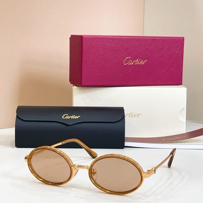 Cartier Sunglasses — 6