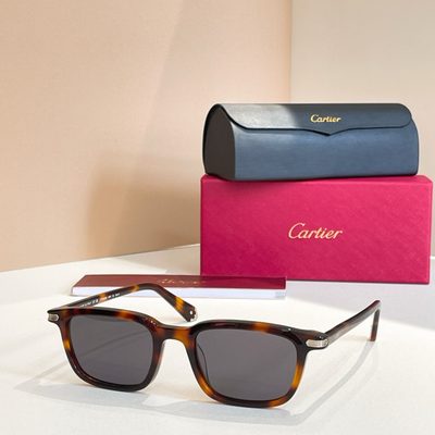 Cartier Sunglasses — 7