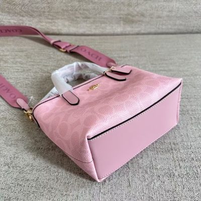 Coach Bag — 3